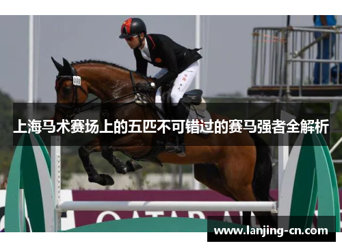 上海马术赛场上的五匹不可错过的赛马强者全解析