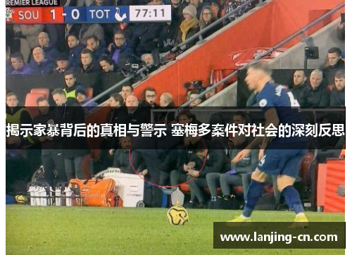 揭示家暴背后的真相与警示 塞梅多案件对社会的深刻反思